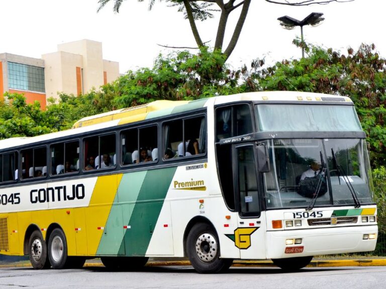 Ônibus Gontijo Boi Bandido Scania 113